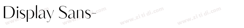 Display Sans字体转换 Display Sans字体转换